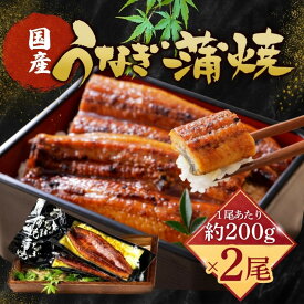 【ふるさと納税】うなぎ蒲焼（国産鰻 200g×2尾） | 鰻 うなぎ 水産 食品