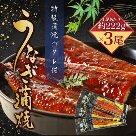 【ふるさと納税】うなぎ蒲焼（中国産鰻 222g×3尾） | 鰻 うなぎ 水産 食品