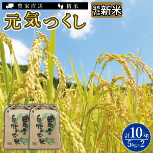 yӂ邳Ɣ[Łz_ߘa7NY ^ sY uh  C eʑI\ 5kg 10kg 15kg 20kg |      5kg CX uh ͂  ӂ邳Ɣ[ s