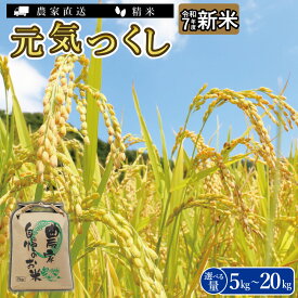 【ふるさと納税】＼令和7年産 ／ 福岡県大川市産 ブランド 米 元気つくし ≪容量選択可能≫ 5kg 10kg 15kg 20kg | お米 米 こめ 精米 白米 5kg袋 ライス ブランド米 ごはん ご飯 ふるさと納税 大川市