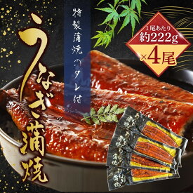 【ふるさと納税】うなぎ蒲焼（中国産222g×4尾）