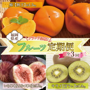 �y�ӂ邳�Ɣ[�Łz�y�S3�����ցz�������Y�t���[�c�����