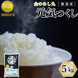 【ふるさと納税】令和7年産 福岡県産 無洗米 5kg 金のめし丸元気つくし | 米 無洗米 お米 こめ 白米 ライス ブランド米 お取り寄せ 美味しい おいしい ご飯 ごはん 料理 調理 人気 おすすめ 小分け ふるさと納税 ふるさと 納税 福岡県 大川市