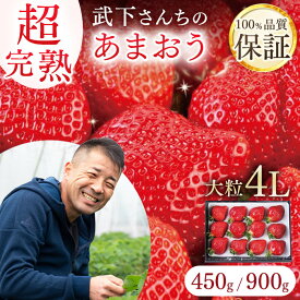 【ふるさと納税】【2027年1月～4月出荷分予約販売】産直だからできる超完熟！ 卵より大きい超大粒4Lサイズ！武下さんちの「完熟あまおう」【450g・900g】| あまおう いちご 食べ物 お取り寄せ グルメ ご当地 大川市 甘い イチゴ 苺 高級 フルーツ プレゼント ギフト 贈り物