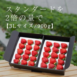 yӂ邳Ɣ[Łzy2026N1`4oו\̔z Ył钴nI 񂿂́un܂v 3LTCYy450gE900gz  Â n ܂  Xgx[ 嗱 Yn