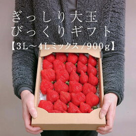 【ふるさと納税】【2026年1月～4月出荷分予約販売】★身近な人間関係のお祝いに★「完熟あまおう」3L～4Lミックス詰め合わせ 900g入り | いちご 完熟 あまおう 苺 ストロベリー 大粒 900g 産地直送 産直 フルーツ 果物 くだもの 高級 ギフト 福岡県 大川市