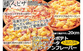 【ふるさと納税】 職人さんの手作りピザ～ジャーマンポテト、マルゲ、ハワイアン3枚セット～_CT-003