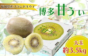 【ふるさと納税】先行受付!【福岡県特産】キウイフルーツ「博多甘うぃ」大玉3.5kg_AC-001