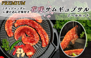 yӂ邳Ɣ[ŁzPREMIUM R`W_ɒЂ񂾖tԍTMvT ~[Zbgiϔj_AS-035
