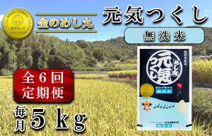 yӂ邳Ɣ[Łzy6zߘa7Nāqār@̂߂یC 5Kgi1܁j×6_CE-085