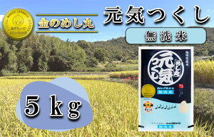 yӂ邳Ɣ[Łzߘa7Nāqār@̂߂یC 5Kgi1܁j_CE-067