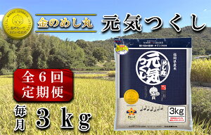 yӂ邳Ɣ[Łzy6zߘa7Nā@̂߂یC3Kgi1܁j×6_CE-108