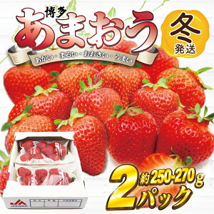 yӂ邳Ɣ[Łz܂2pbN(~)w1`2x_AT-001