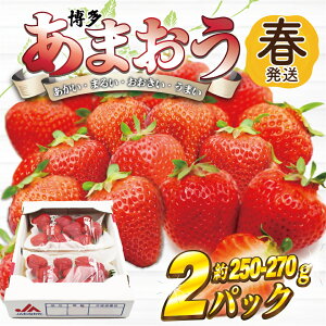 yӂ邳Ɣ[ŁzAT-002@܂2pbN(t)w2`4x_AT-002