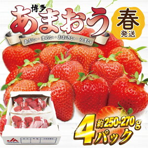 yӂ邳Ɣ[Łz܂4pbN(t)w2`4x_AT-004