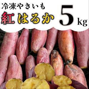 yӂ邳Ɣ[Łzyߘa8N1菇zⓀĂug͂邩v 5kg_AO-006
