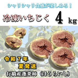 yӂ邳Ɣ[ŁzⓀ4kg_AO-012