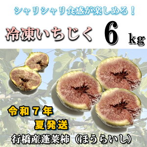 yӂ邳Ɣ[ŁzⓀ6kg_AO-023