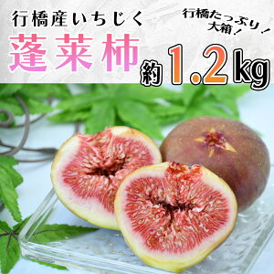yӂ邳Ɣ[ŁzsYiH`j   1.2kg_AO-015