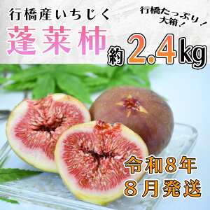 yӂ邳Ɣ[Łzy\Eߘa8NĔzsYiH`j2.4kg i  1.2kg ×2j_AO-024