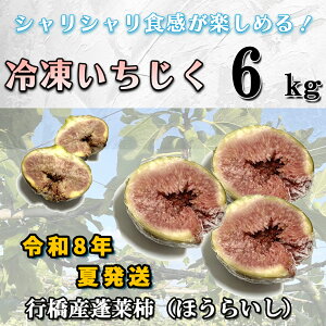 yӂ邳Ɣ[Łzy\Eߘa8NĔzⓀ6kg_AO-023