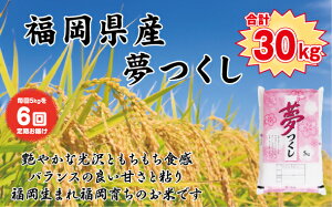 yӂ邳Ɣ[Łzy6zHӒmI@ Y5kgi5kg×1j6AŁI@v30kg_BZ-009