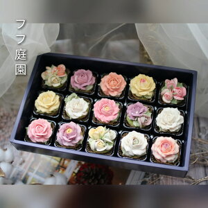 yӂ邳Ɣ[Łzt[NbL[(So)15@Hׂ邨ԁI񂱂̂ԁI yC~bsOzaَq_DC-002