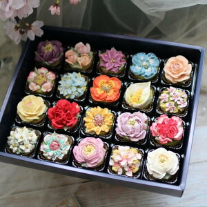 yӂ邳Ɣ[Łzt[NbL[20@Hׂ邨ԁI񂱂̂ԁI yC~bsOzaَq_DC-003