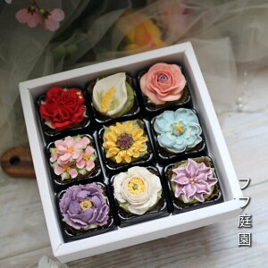 yӂ邳Ɣ[Łzt[NbL[9@Hׂ邨ԁI񂱂̂ԁI@yC~bsOzaَq_DC-006