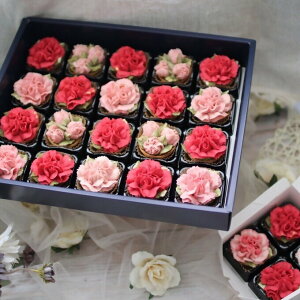 yӂ邳Ɣ[Łzt[NbL[iJ[l[Vj20 t[^g@Hׂ邨ԁI񂱂̂ԁIyC~bsOzaَq_DC-008