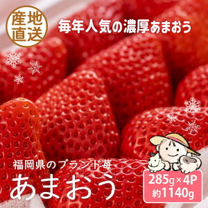 yӂ邳Ɣ[Łzy2025N12{`4{z ܂ RRt@[̔Z܂ 285g × 4pbN sLOstyRRt@[z[VAE009]   Y ykCxEꂨ