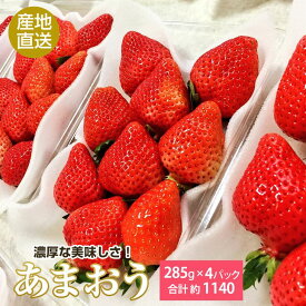 楽天市場 ココロファームのあまおうは 土耕栽培で甘みの強い濃厚いちごです の通販
