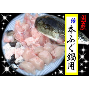 記事ID36868のサムネイル画像