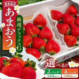 【ふるさと納税】【先行予約】あまおう 厳選デラックスG 540g 1080g 2パック 4パック いちご《豊前市》【内藤農園】[VAB001] 土耕栽培 くだもの 果物