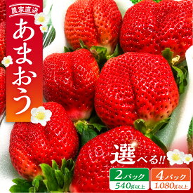 【ふるさと納税】【先行予約】あまおう 540g 1080g 2パック 4パック いちご《豊前市》【内藤農園】[VAB002] 土耕栽培 くだもの 果物