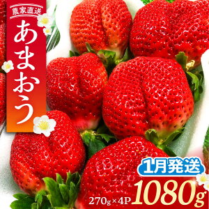 yӂ邳Ɣ[Łzys\zy1z_ƒ ܂ 1080g (270gȏ × 4pbN) yk͔|sLOsty_zʕ [VAB004] 13000 13000~