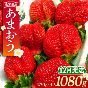 yӂ邳Ɣ[Łzys\zy12z_ƒ ܂ 1080g (270gȏ × 4pbN) yk͔|sLOsty_zʕ [VAB006] 14000 14000~