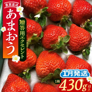 yӂ邳Ɣ[Łzys\zy1z ܂ p GNZg 430gȏ×1 sLOsty_zʕ [VAB009] 12000 12000~