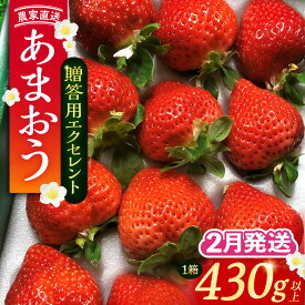 【ふるさと納税】【2月-4月発送】 あまおう 贈答用 エクセレント 430g以上×1箱 《豊前市》【内藤農園】果物 いちご[VAB010] 11000円 11000円