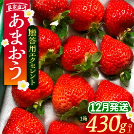 【ふるさと納税】【先行予約】【12月発送】 あまおう 贈答用 エクセレント 430g以上×1箱 《豊前市》【内藤農園】果物 いちご[VAB013]