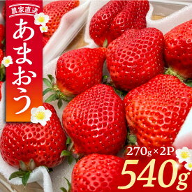 【ふるさと納税】【先行予約】【2月-3月発送】農家直送 あまおう 540g （270g以上 × 2 パック） 土耕栽培《豊前市》【内藤農園】果物 いちご [VAB014]