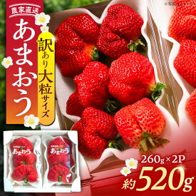 【ふるさと納税】【先行予約】【1~4月発送】農家直送　大玉規格　特大大粒あまおう　《豊前》　【内藤農園】[VAB023]