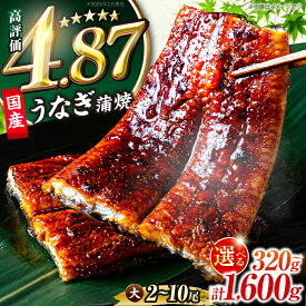 【ふるさと納税】うなぎ 鰻 ★4.87 2尾 3尾 5尾 10尾（1尾160g以上）《豊前市》【福岡養鰻】蒲焼 ウナギ お祝い プレゼント 贈答 ギフト 国産うなぎ 国産鰻 人気 おすすめ 福岡産 贅沢 ご褒美 栄養 夏バテ [VAD002]