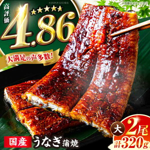 �y�ӂ邳�Ɣ[�Łz�y�N�������z�y�L�����y�[���Ώہz ��4.86 ���Ȃ� �V ���� ���Y 320g �i160g × 2���j �L�O�s �����{�V ���� �E�i�M ���j�� �v���[���g ���� �M�t�g ���Y���Ȃ� ���Y�V �l�C ����