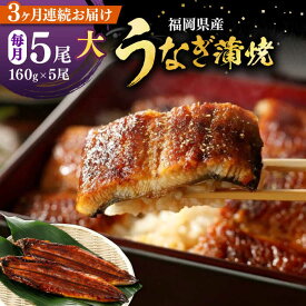 【ふるさと納税】【全3回定期便】福岡県産 うなぎ 蒲焼 大5尾　合計 800 g（1尾あたり 160g以上）《豊前市》【福岡養鰻】 国産 うなぎ 大[VAD017]