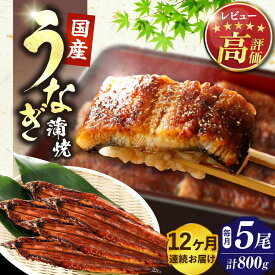 【ふるさと納税】【全12回定期便】福岡県産 うなぎ 蒲焼 大5尾　合計 800 g（1尾あたり 160g以上）《豊前市》【福岡養鰻】 国産 うなぎ 大 [VAD019] 372000 372000円