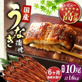 【ふるさと納税】【全6回定期便】福岡県産 うなぎ 蒲焼 大 10尾 計1600g（1尾あたり 160g以上）《豊前市》【福岡養鰻】[VAD028] 蒲焼 ウナギ お祝い プレゼント 贈答 ギフト 国産うなぎ 国産鰻 人気 おすすめ 福岡産