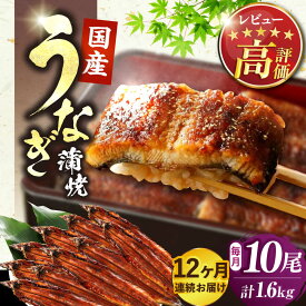 【ふるさと納税】【全12回定期便】福岡県産 うなぎ 蒲焼 大 10尾 計1600g（1尾あたり 160g以上）《豊前市》【福岡養鰻】[VAD029] 蒲焼 ウナギ お祝い プレゼント 贈答 ギフト 国産うなぎ 国産鰻 人気 おすすめ 福岡産