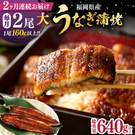 【ふるさと納税】【全2回定期便】福岡県産 うなぎ 蒲焼 大2尾　合計 320 g（1尾あたり 160g以上）《豊前市》【福岡養鰻】 国産 うなぎ 大[VAD034]
