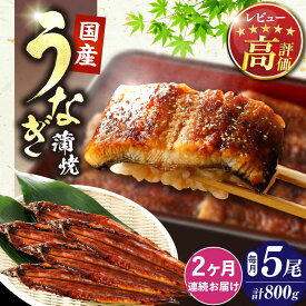 【ふるさと納税】【全2回定期便】福岡県産 うなぎ 蒲焼 大5尾　合計 800 g（1尾あたり 160g以上）《豊前市》【福岡養鰻】 国産 うなぎ 大[VAD035]